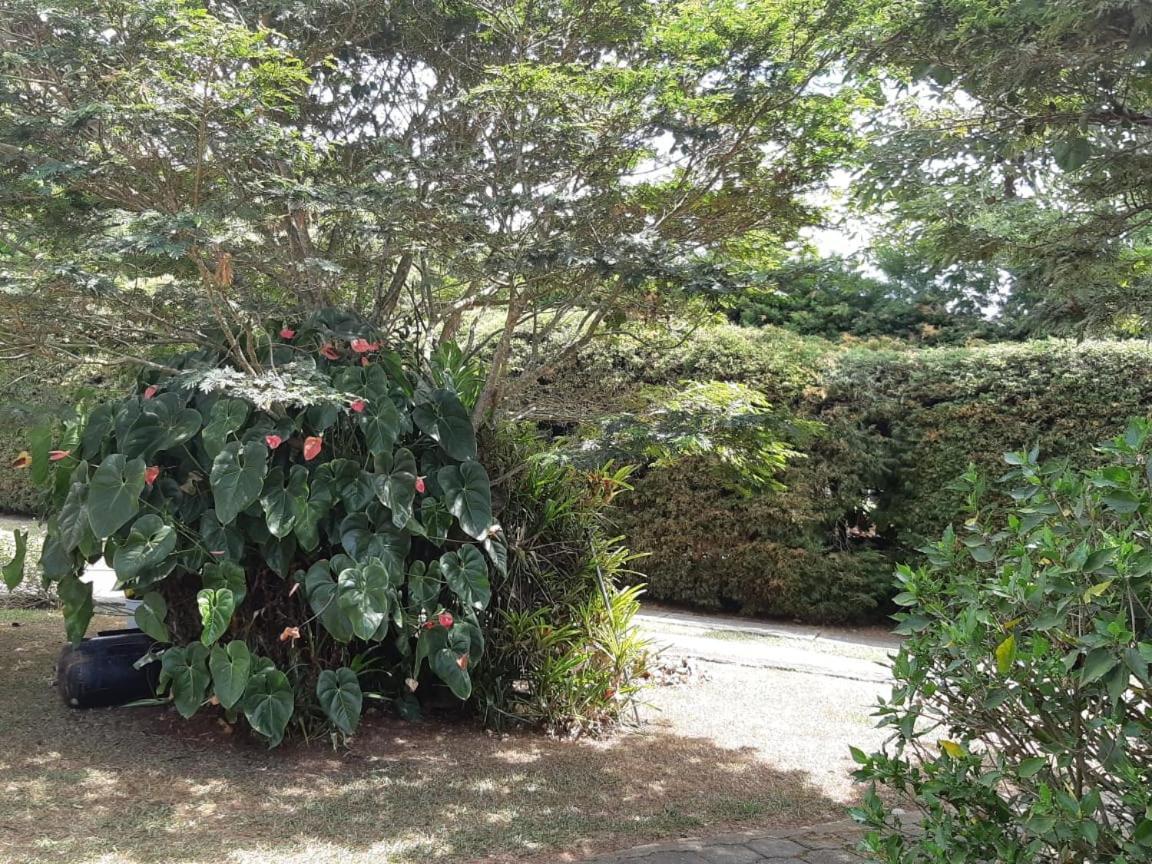 Finca Paraiso Calima Kültér fotó