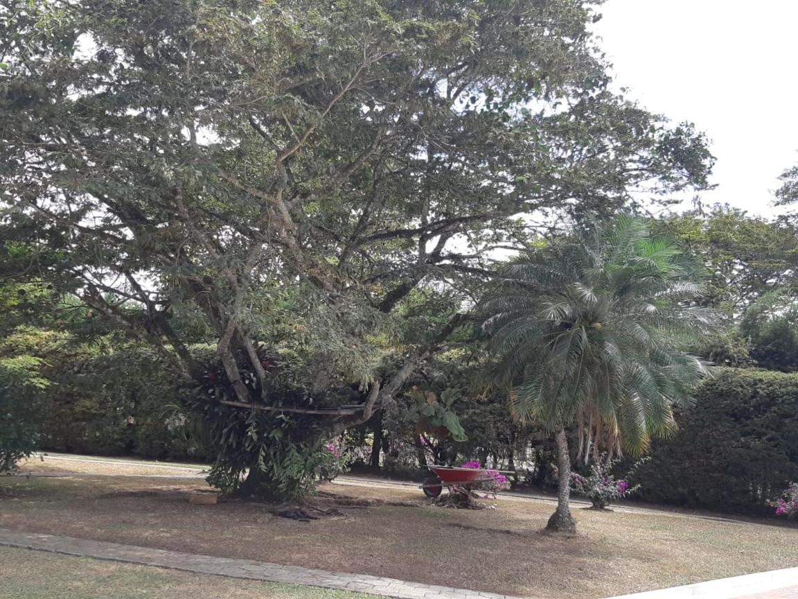 Finca Paraiso Calima Kültér fotó