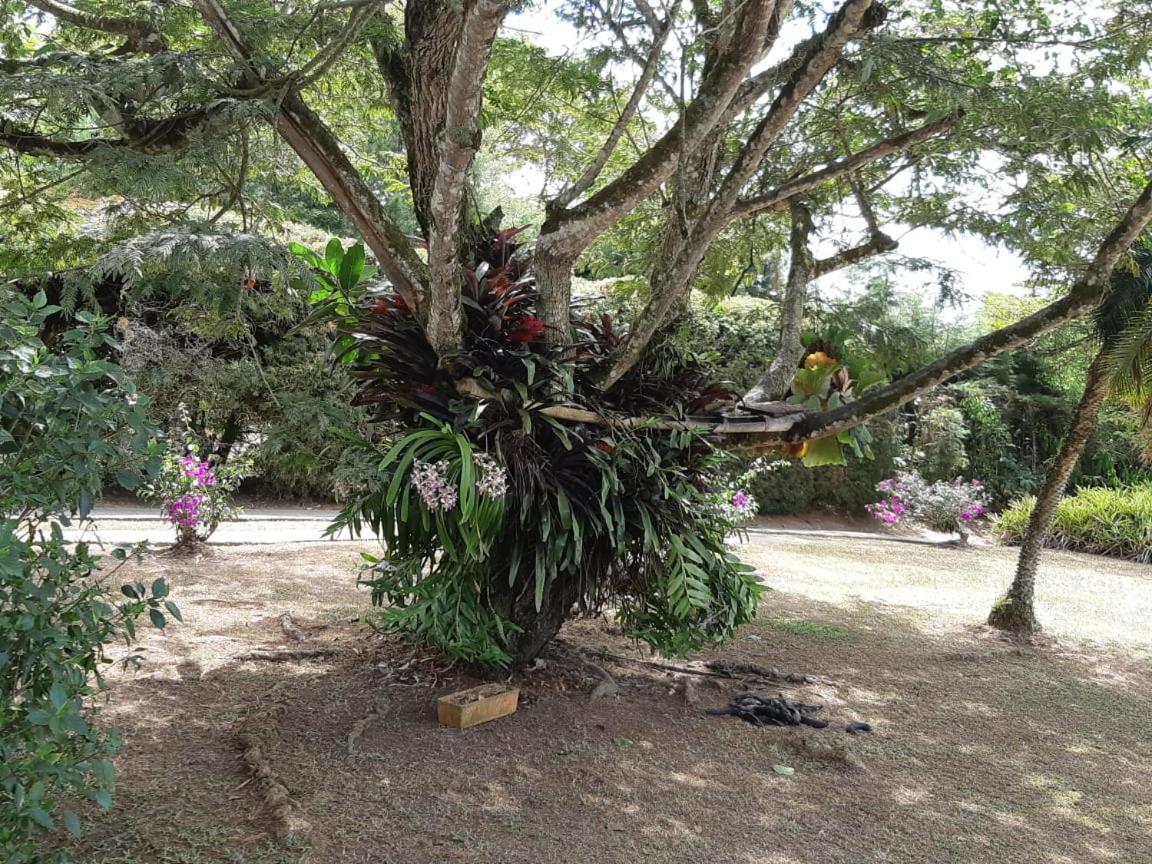Finca Paraiso Calima Kültér fotó