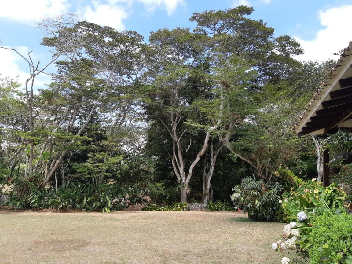 Finca Paraiso Calima Kültér fotó